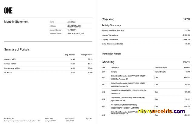 USA One Finance, Inc. bank statement Word and PDF, 2 pages